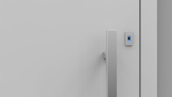 Drzwi wejściowe w stylu smart