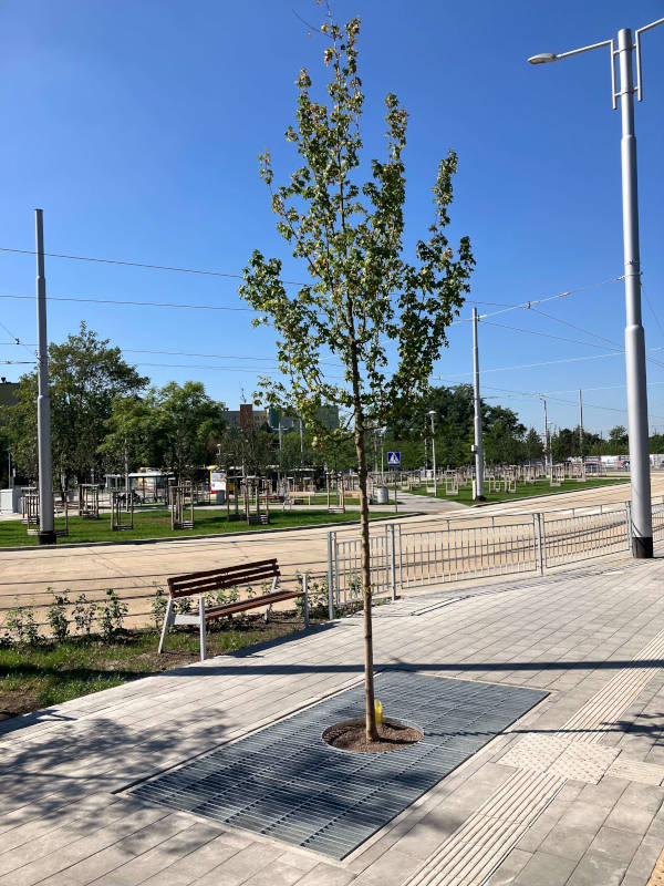 Zbiorniki antykompresyjne dla drzew – zalety Wavin TreeTank